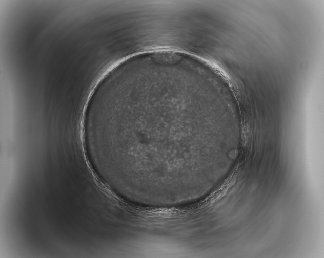 X0000095921279200801251022