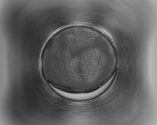 X0000095921280200801251022