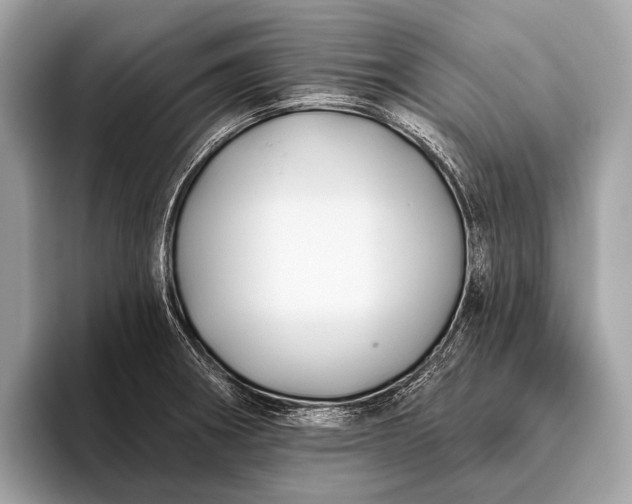 X0000095921282200801251022