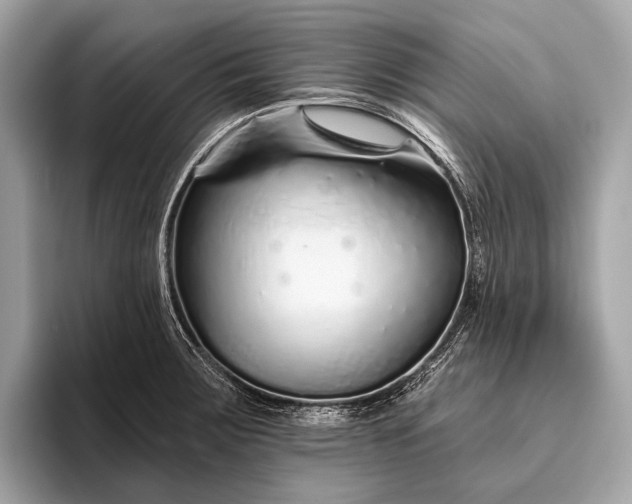 X0000095921283200801251022