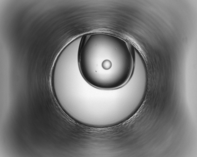 X0000095921284200801251022