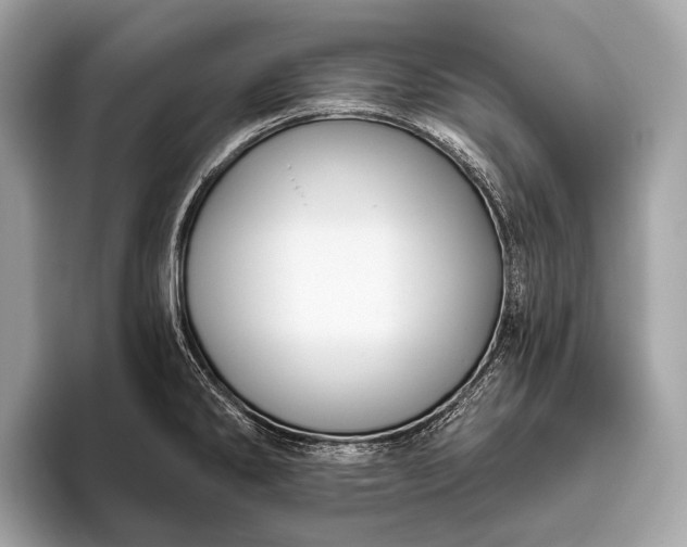 X0000095921286200801251022