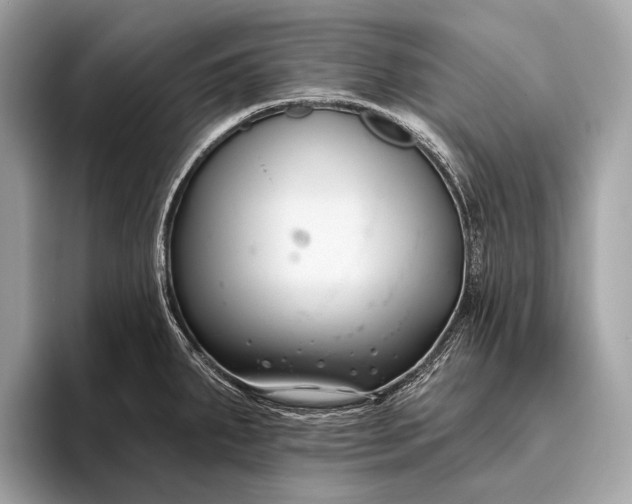 X0000095921287200801251022