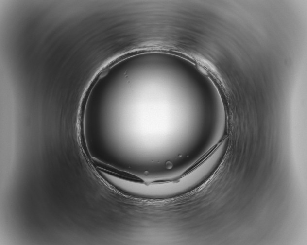 X0000095921288200801251022