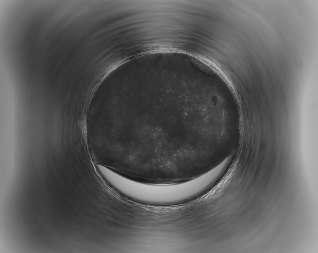 X0000095921289200801251022