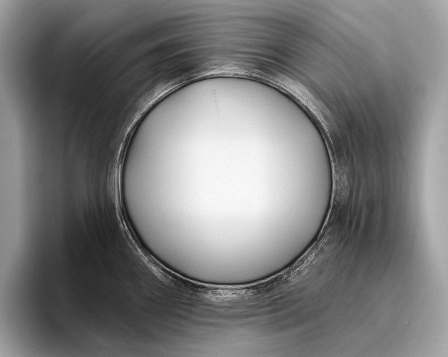 X0000095921290200801251022