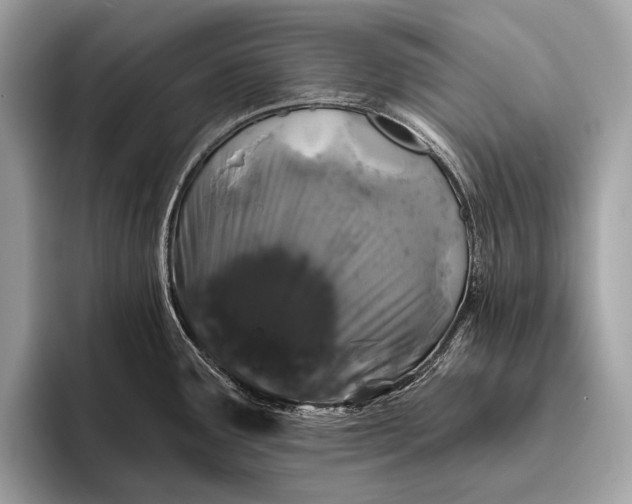 X0000095921291200801251022