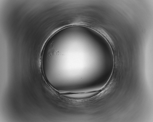 X0000095921292200801251022