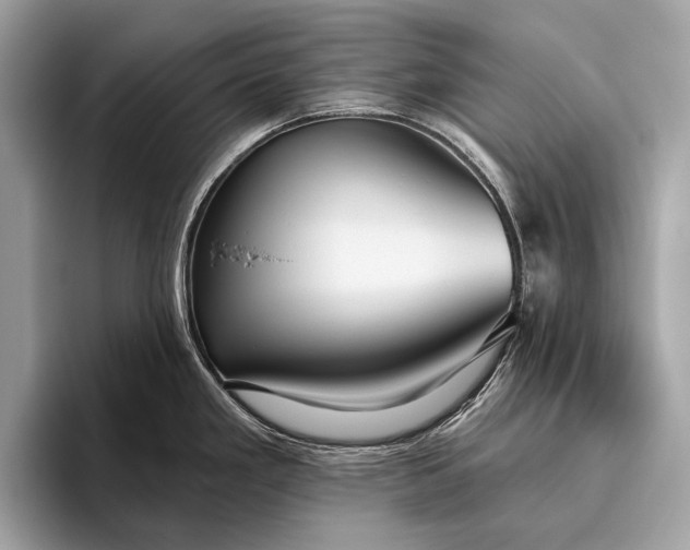 X0000095921293200801251022