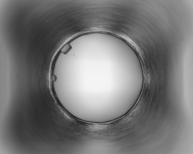 X0000095921294200801251022