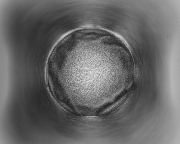 X0000095921295200801251022