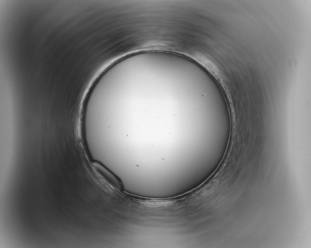 X0000095921296200801251022