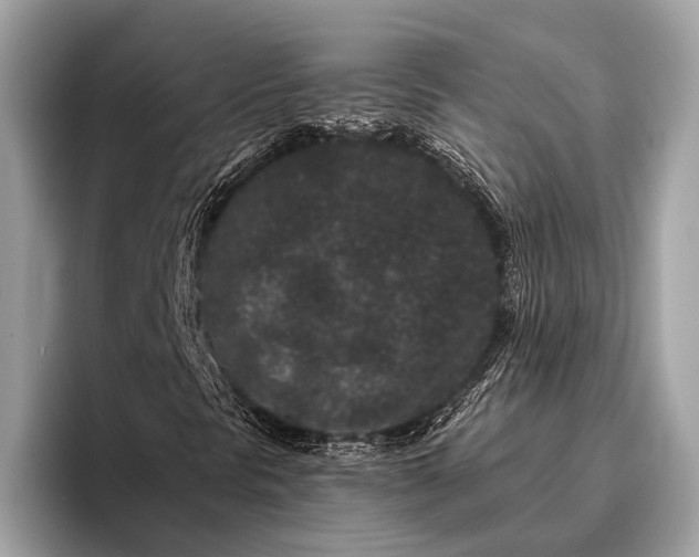 X0000095921297200801251022