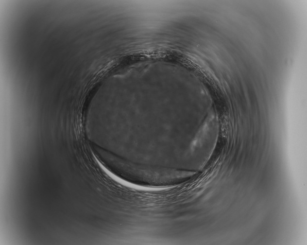 X0000095921298200801251022