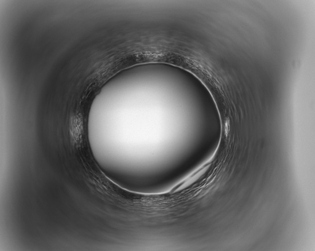 X0000095921299200801251022