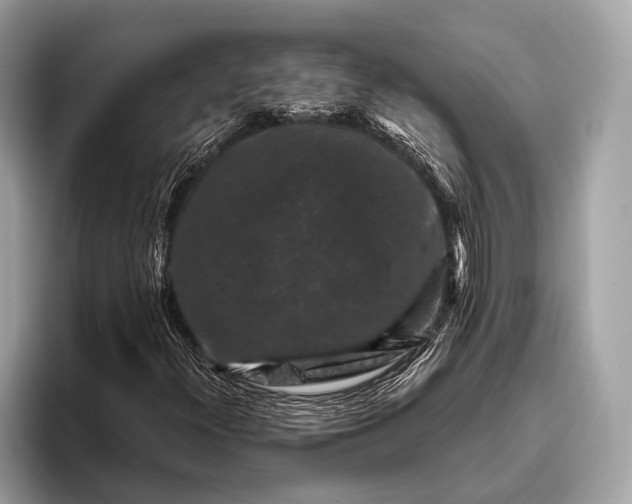 X0000095921300200801251022