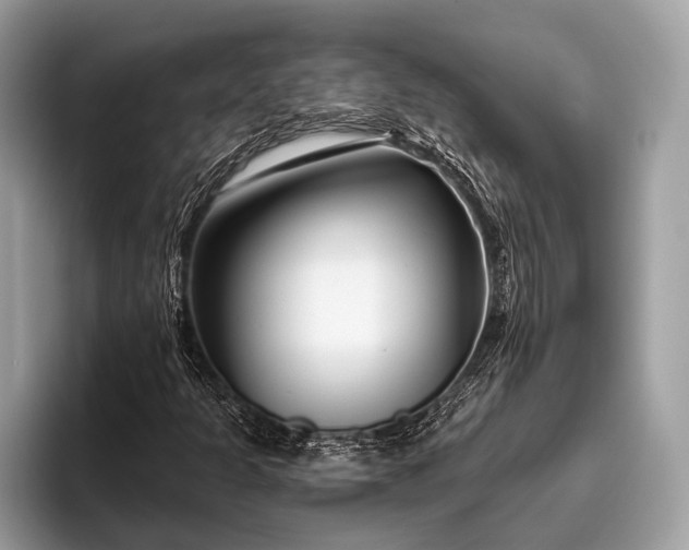 X0000095921301200801251022