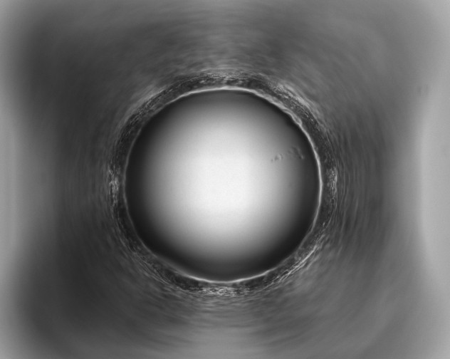 X0000095921302200801251022