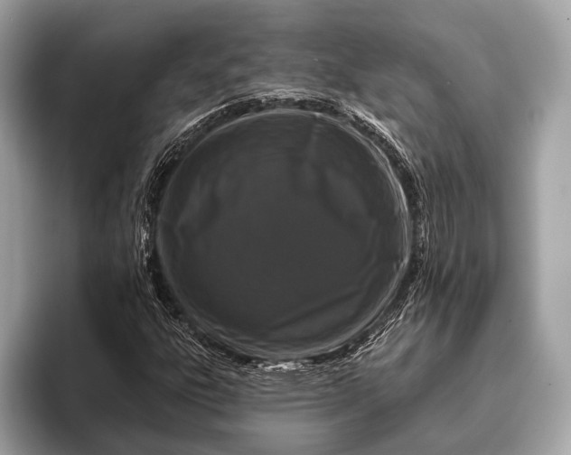 X0000095921303200801251022