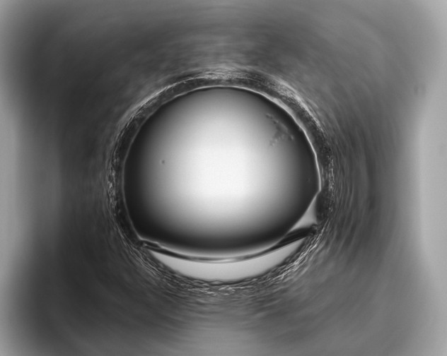 X0000095921304200801251022