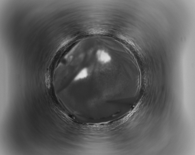 X0000095921306200801251022