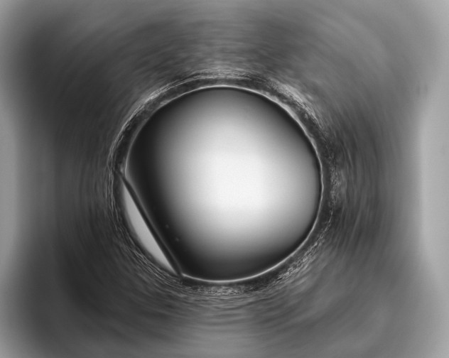 X0000095921307200801251022