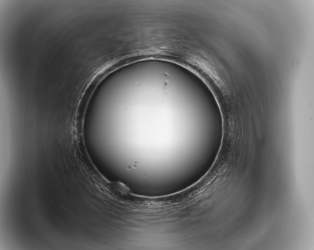 X0000095921308200801251022