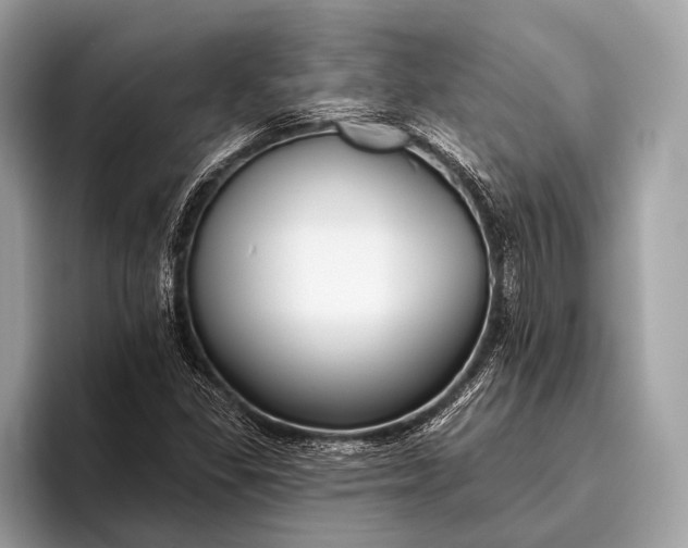 X0000095921309200801251022