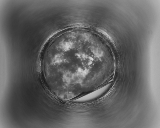 X0000095921310200801251022