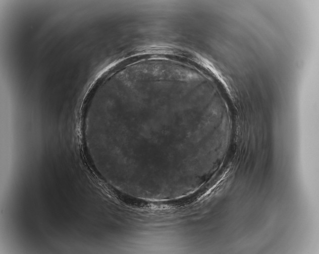 X0000095921312200801251022