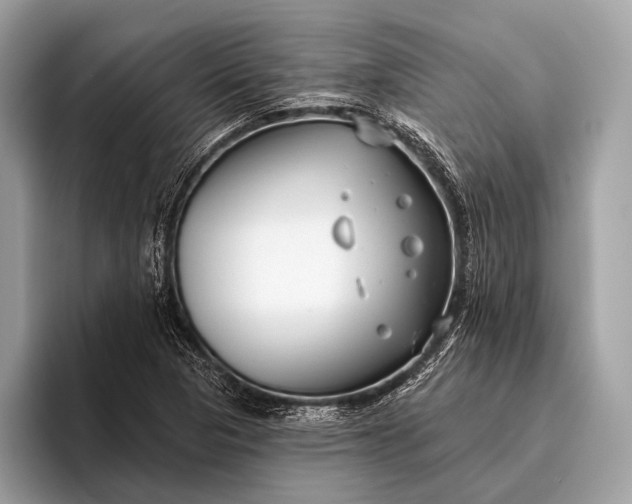 X0000095921313200801251022