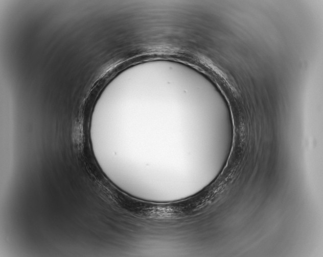 X0000095921315200801251022