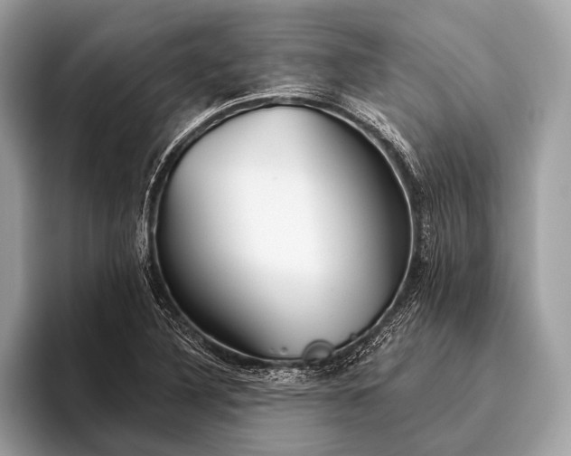 X0000095921316200801251022