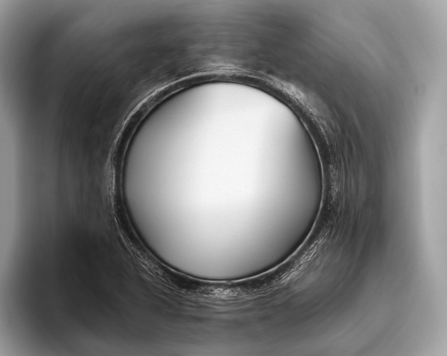 X0000095921318200801251022