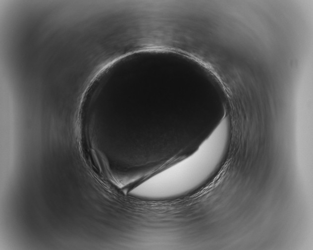 X0000095921319200801251022