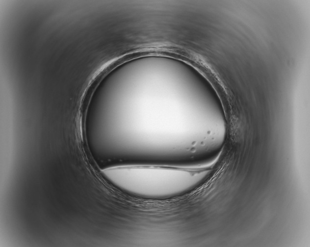 X0000095921320200801251022