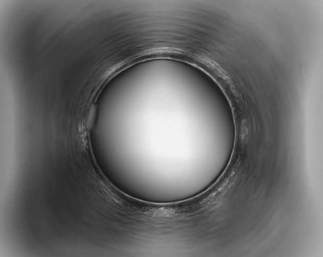 X0000095921321200801251022