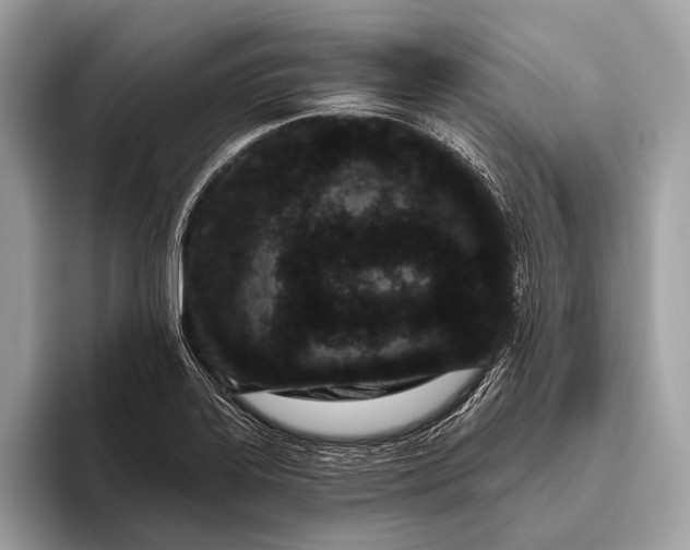 X0000095921323200801251022