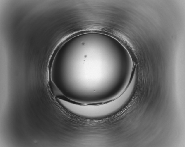 X0000095921324200801251022