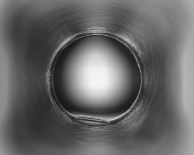 X0000095921325200801251022