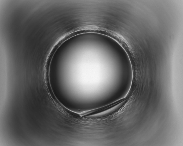 X0000095921326200801251022