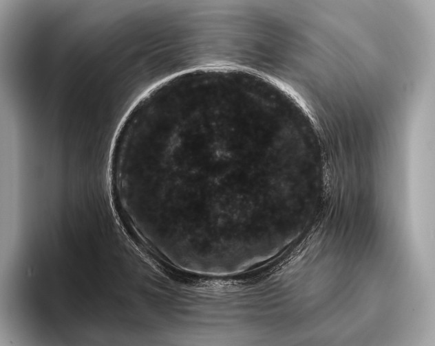 X0000095921327200801251022