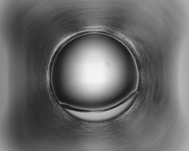 X0000095921328200801251022