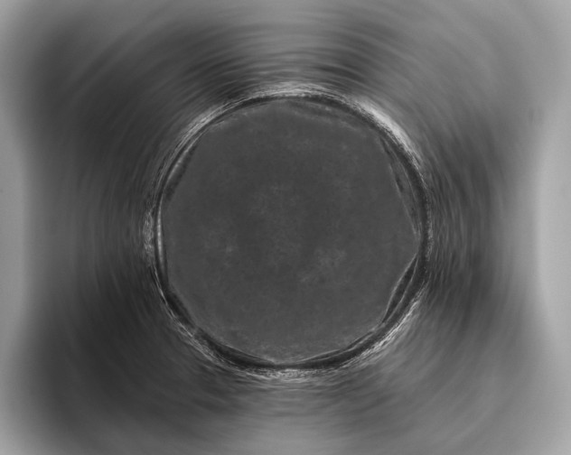 X0000095921329200801251022