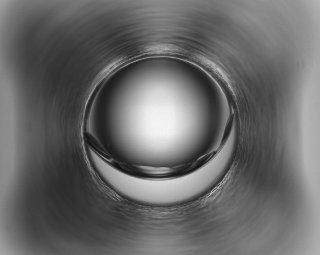 X0000095921330200801251022