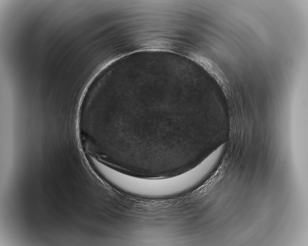 X0000095921331200801251022