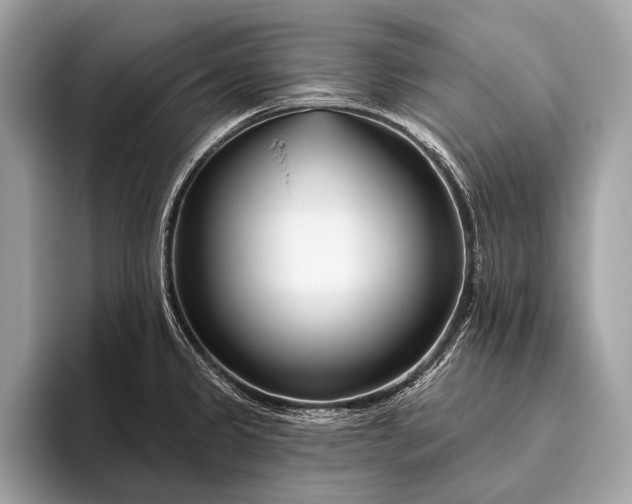 X0000095921333200801251022