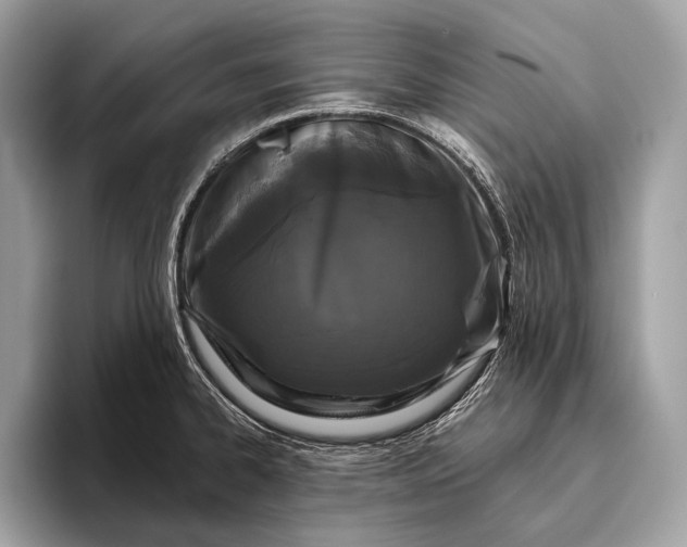 X0000095921334200801251022