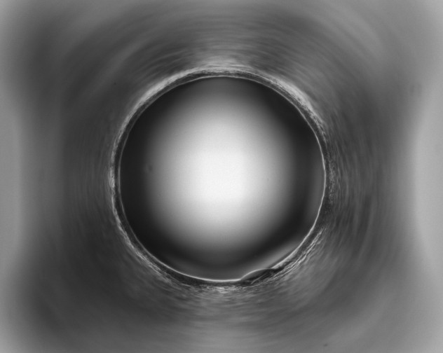 X0000095921335200801251022