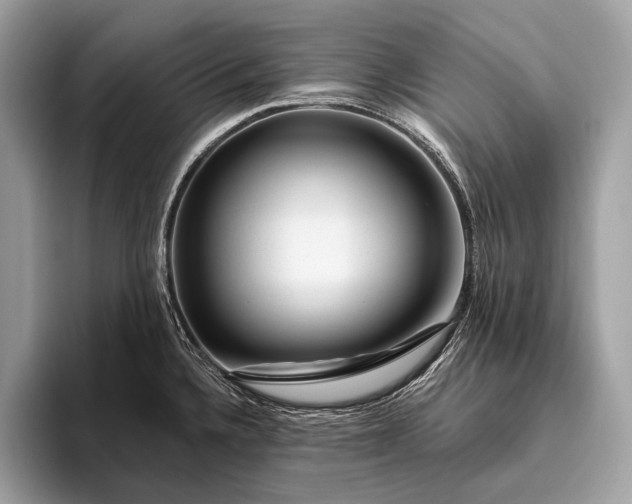 X0000095921336200801251022